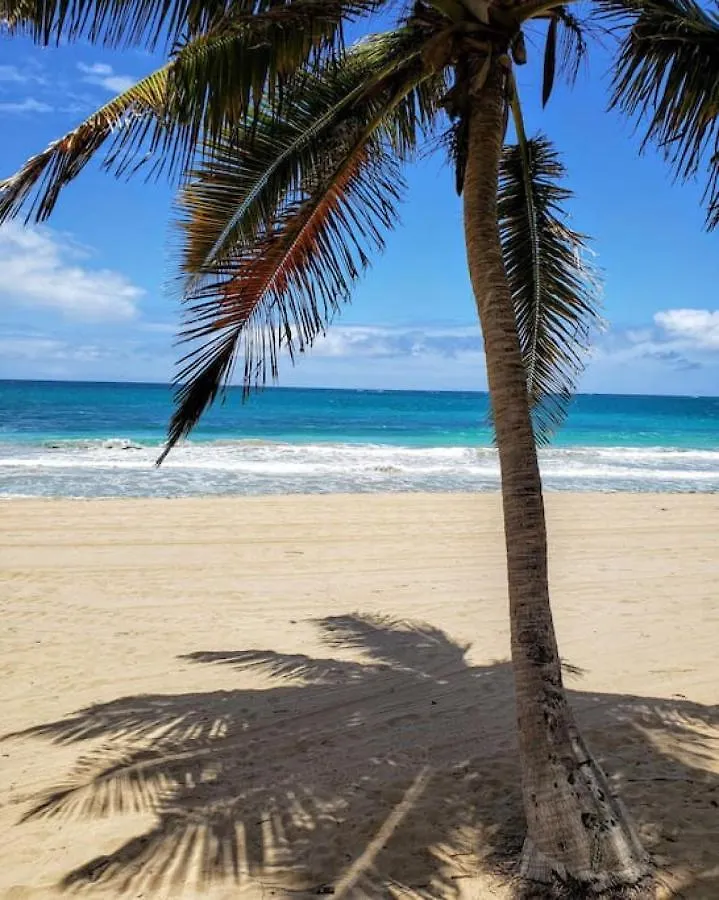 Hébergement de vacances Kasa Terrace Studio Breathtaking Ocean Views San Juan Porto Rico